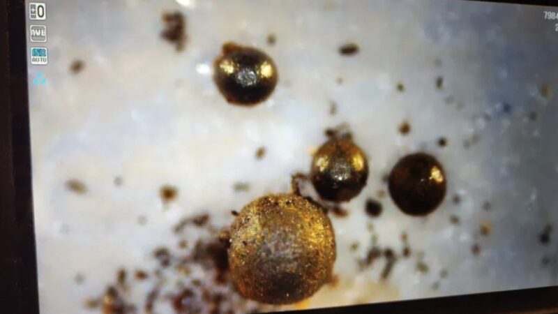 Avi Loeb’s expedition finds ‘metallic spherules’ on ocean floor