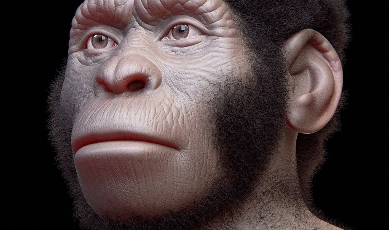 Row erupts over intelligence of early small-brained humans
