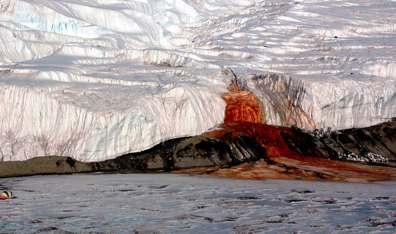 Enduring mystery of Antarctica’s ‘Blood Falls’ may finally be solved