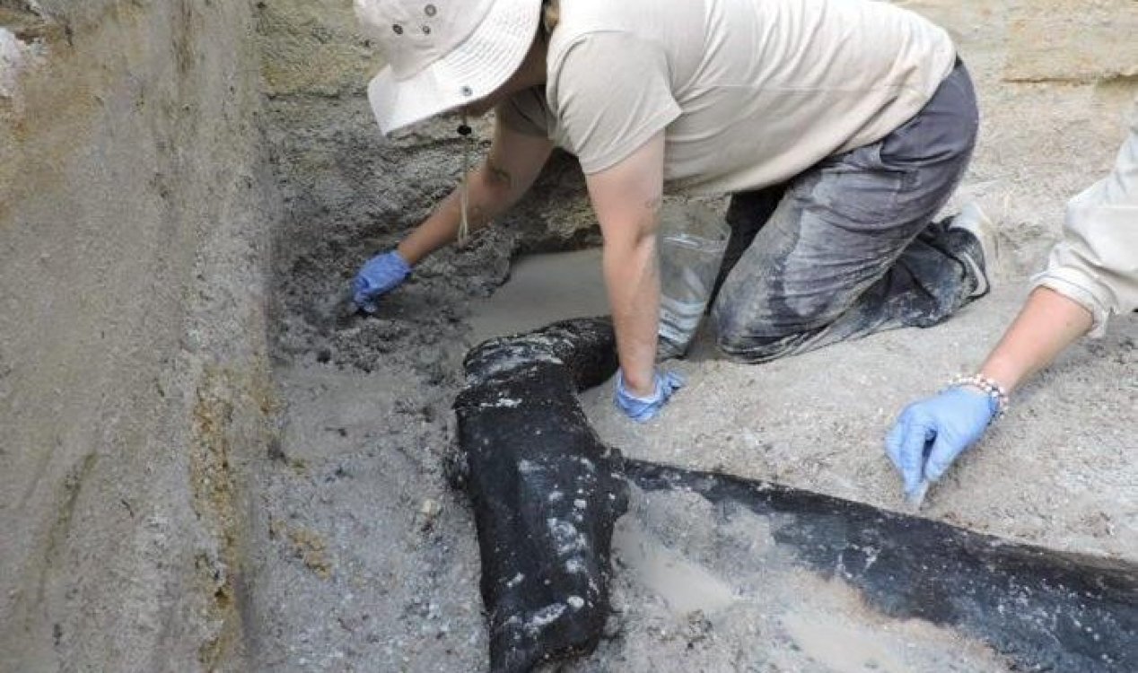 World’s oldest wooden structure unearthed in Zambia
